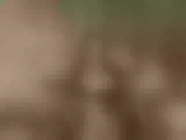 Live sex webcam photo for BadMam-1 #276639069