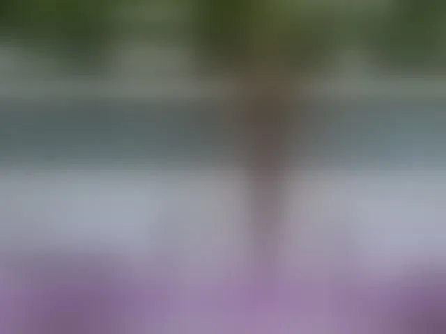 Live sex webcam photo for BaditaLuna #293723725