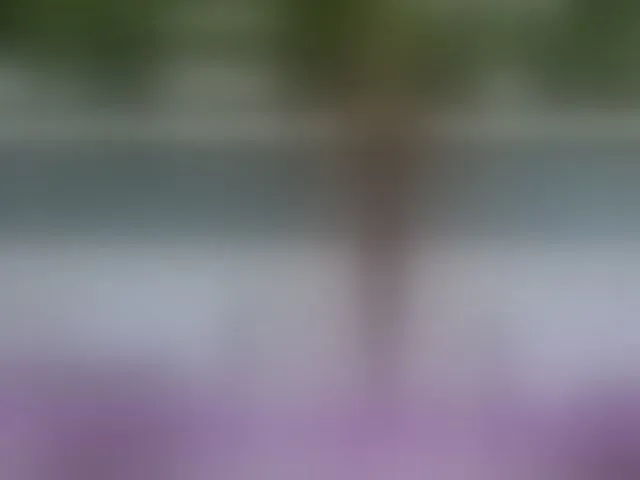 Live sex webcam photo for BaditaLuna #293797350