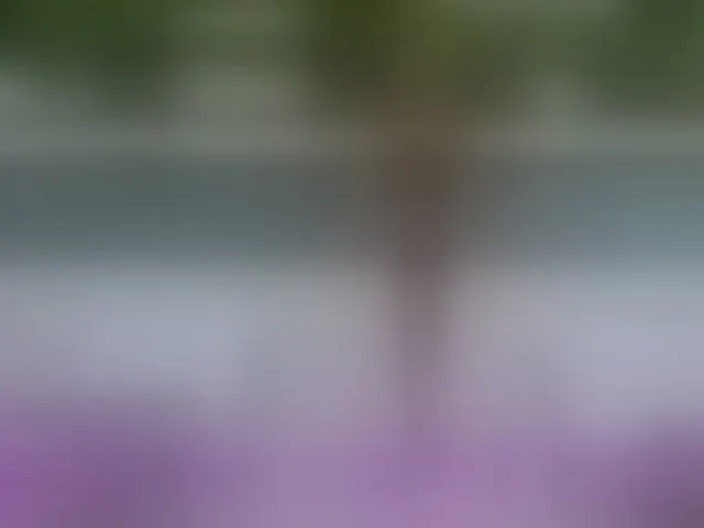 Live sex webcam photo for BaditaLuna #294065872