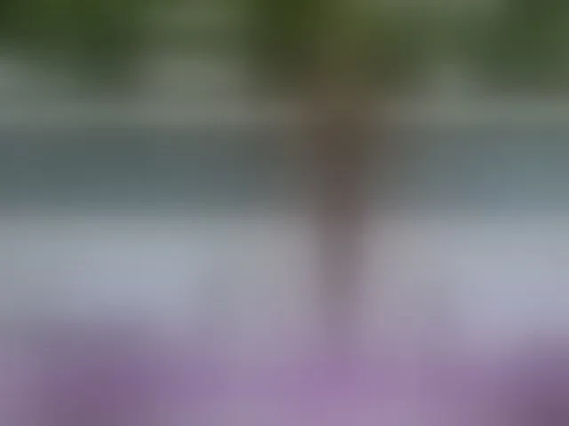 Live sex webcam photo for BaditaLuna #294087922