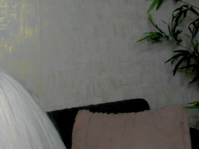 Live sex webcam photo for BailleyRush #290663857