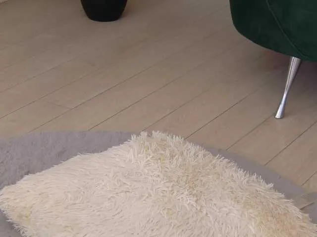 Live sex webcam photo for BailleyRush #292417889