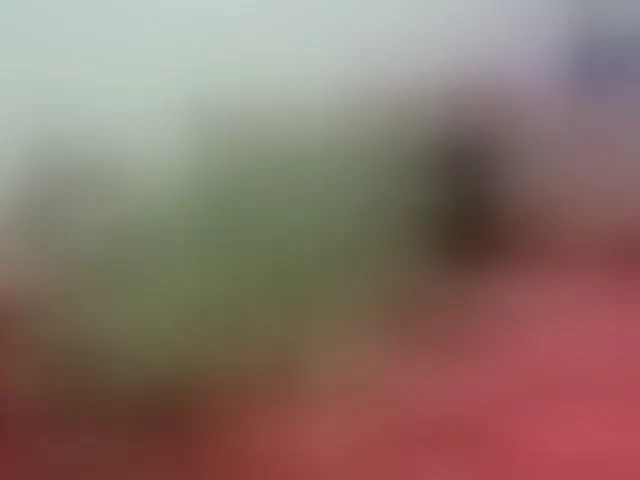 Live sex webcam photo for Bambi-40 #293539860