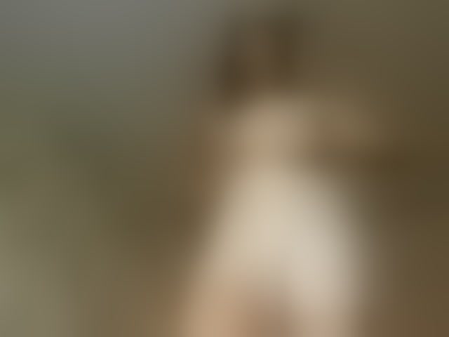 Live sex webcam photo for Bambiiiii #294106722