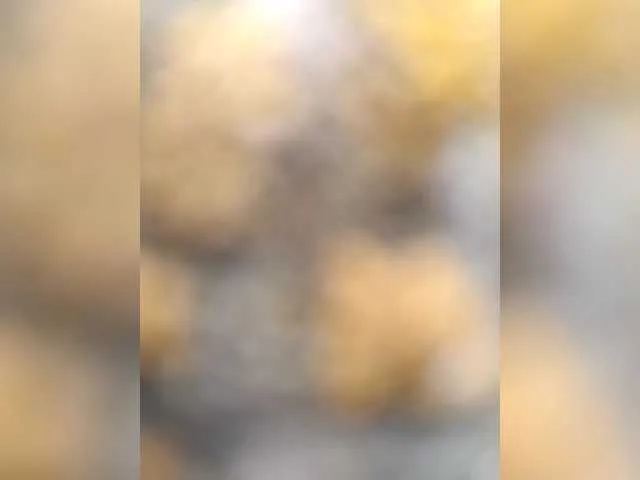 Live sex webcam photo for BarbiGirla #291615706