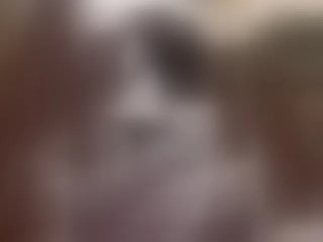 Live sex webcam photo for BarbiGirla #294011822