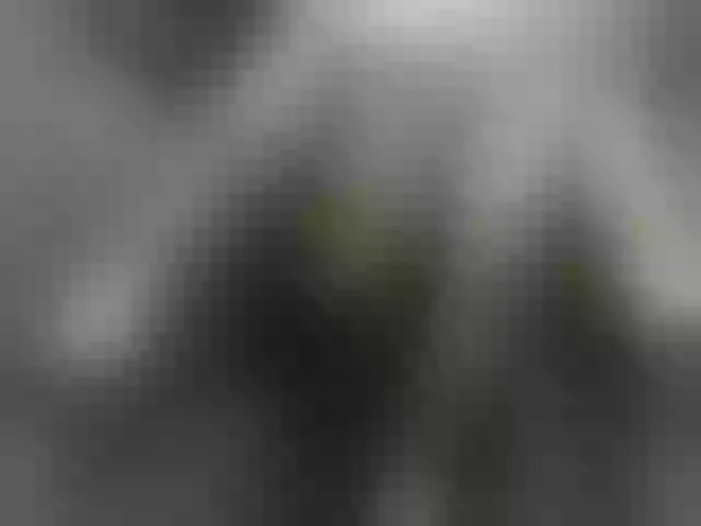 Live sex webcam photo for Barbie-Vee #291896299