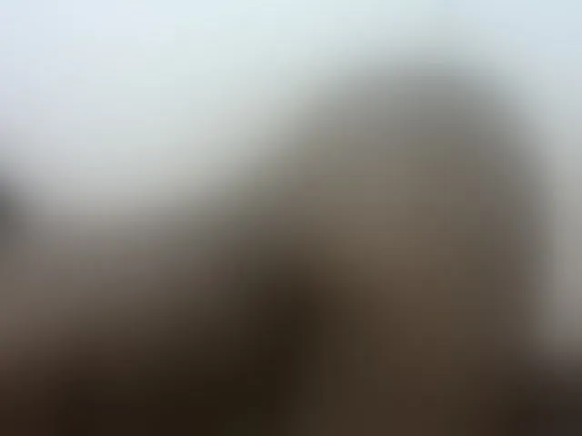 Live sex webcam photo for Barbie-Vee #293065511