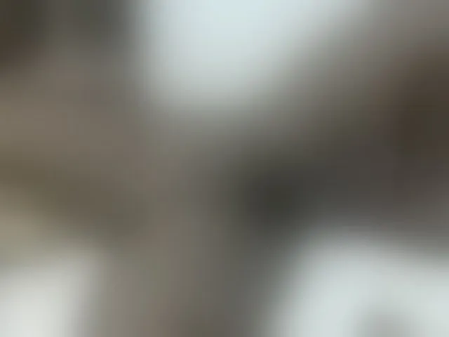 Live sex webcam photo for Barbie-Vee #293077952