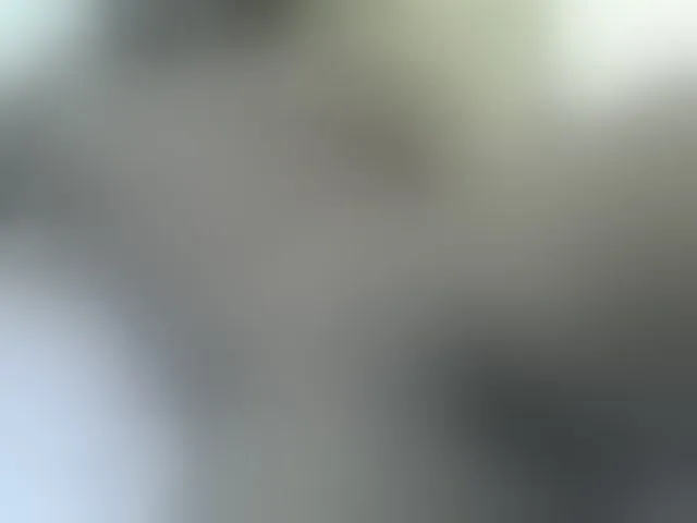 Live sex webcam photo for Barbie-Vee #293158341