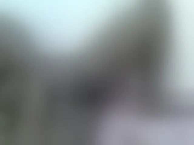 Live sex webcam photo for Barbie-Vee #293162162