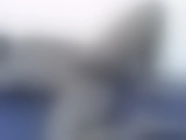 Live sex webcam photo for Barbie-Vee #293369328