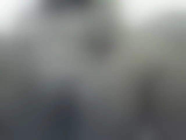 Live sex webcam photo for Barbie-Vee #293463165