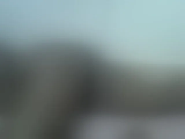 Live sex webcam photo for Barbie-Vee #293500625