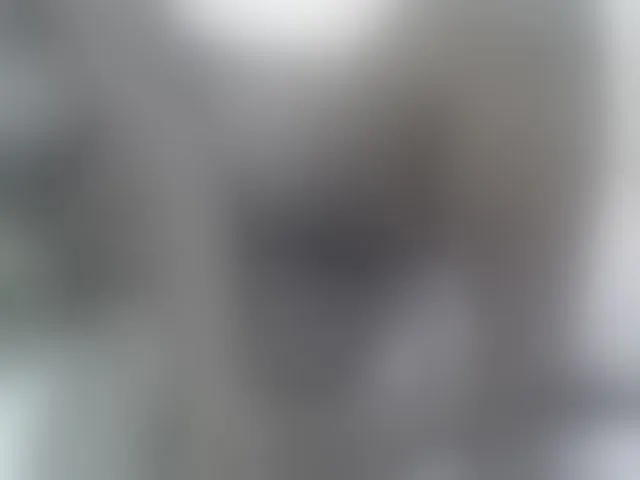 Live sex webcam photo for Barbie-Vee #293732539