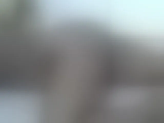 Live sex webcam photo for Barbie-Vee #293889445