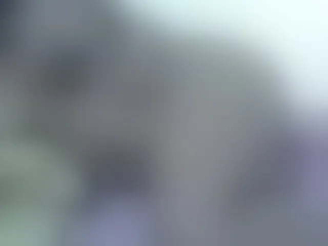 Live sex webcam photo for Barbie-Vee #293940493