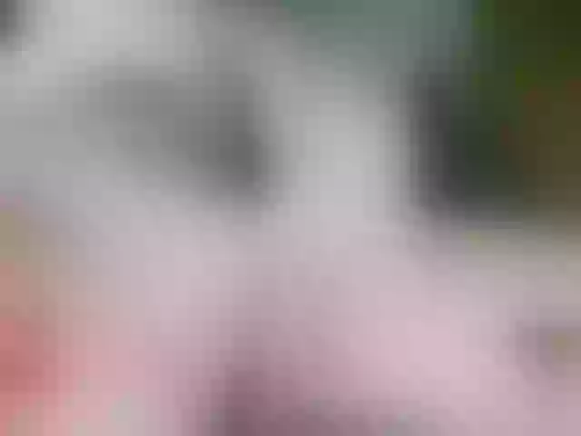 Live sex webcam photo for Baron-M #291361390