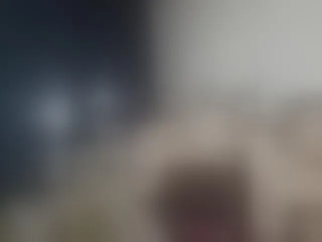Live sex webcam photo for BattyHils #288858301