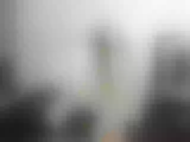 Live sex webcam photo for BattyHils #289715061