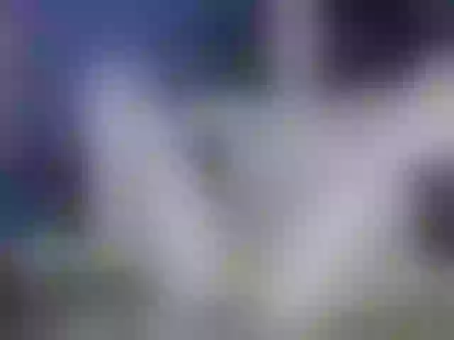 Live sex webcam photo for BattyHils #290616782