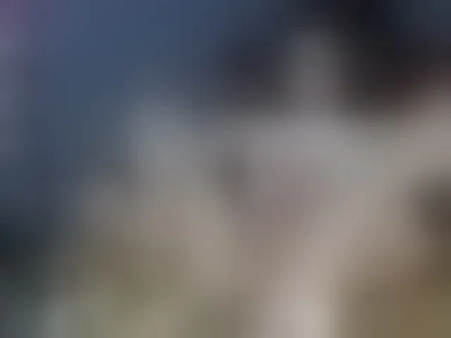 Live sex webcam photo for BattyHils #290649886