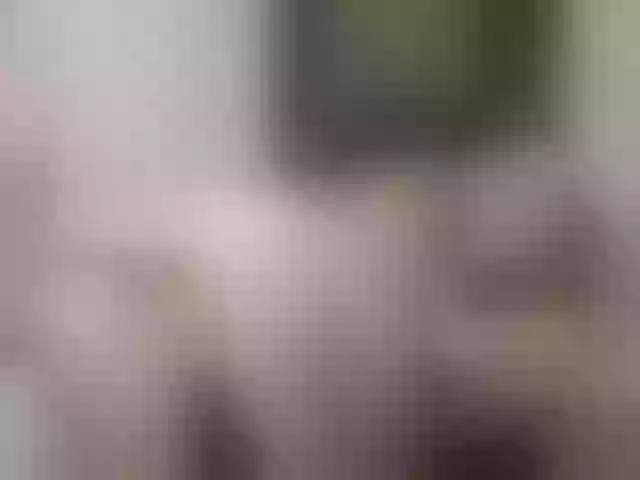 Live sex webcam photo for BattyHils #291557475