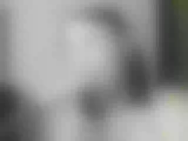Live sex webcam photo for BattyHils #291915574
