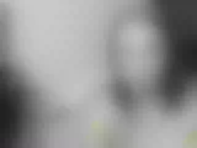 Live sex webcam photo for BattyHils #292062972
