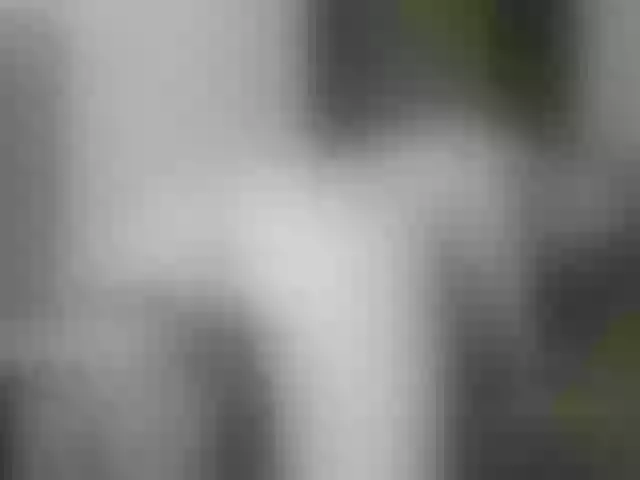 Live sex webcam photo for BattyHils #292270982