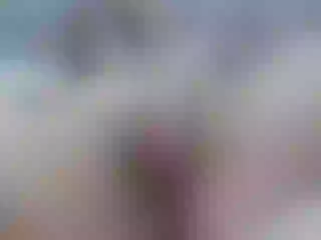 Live sex webcam photo for Bbw-heather #273823537