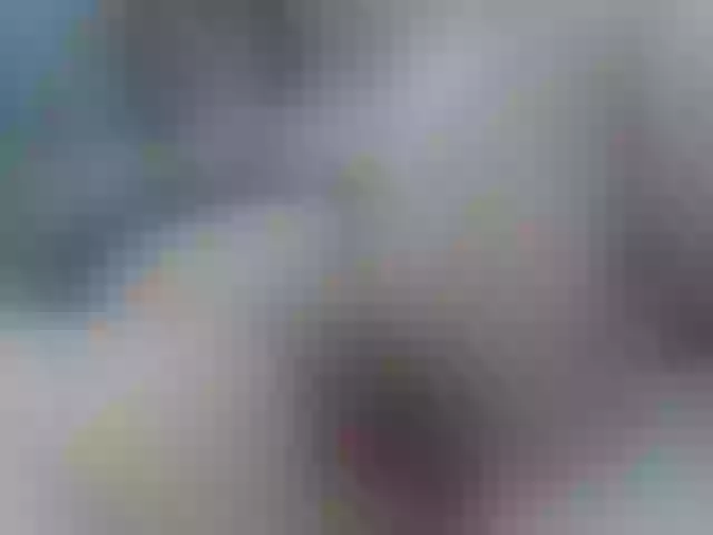 Live sex webcam photo for Bbw-heather #273847020