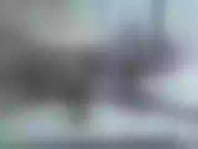 Live sex webcam photo for Beauty-Queen1 #291665891