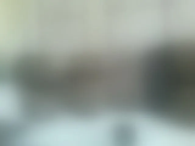 Live sex webcam photo for Beauty-Queen1 #291827608