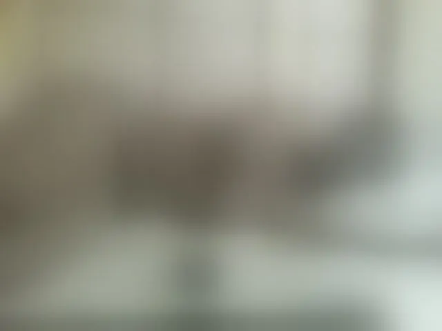 Live sex webcam photo for Beauty-Queen1 #291896165