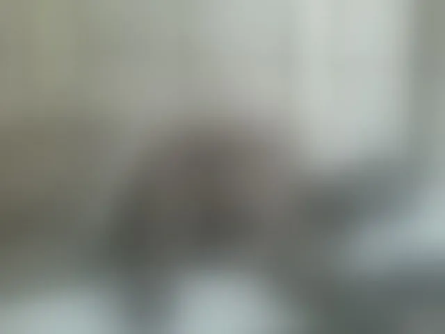 Live sex webcam photo for Beauty-Queen1 #292070747