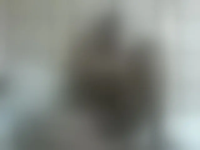 Live sex webcam photo for Beauty-Queen1 #292324815