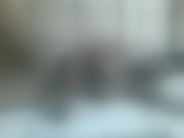 Live sex webcam photo for Beauty-Queen1 #292579213