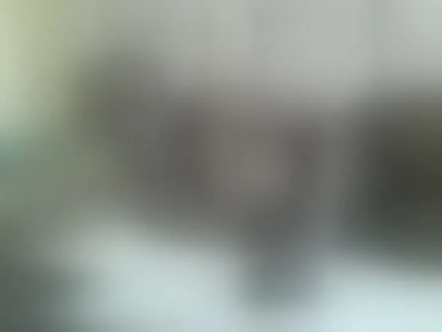 Live sex webcam photo for Beauty-Queen1 #292795000