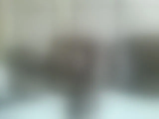 Live sex webcam photo for Beauty-Queen1 #293005871