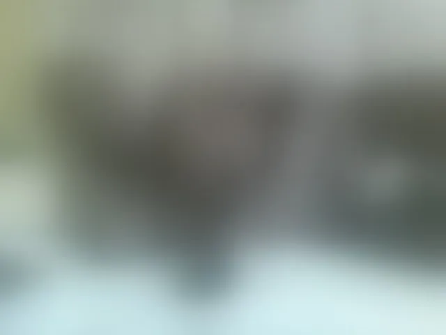 Live sex webcam photo for Beauty-Queen1 #293143505