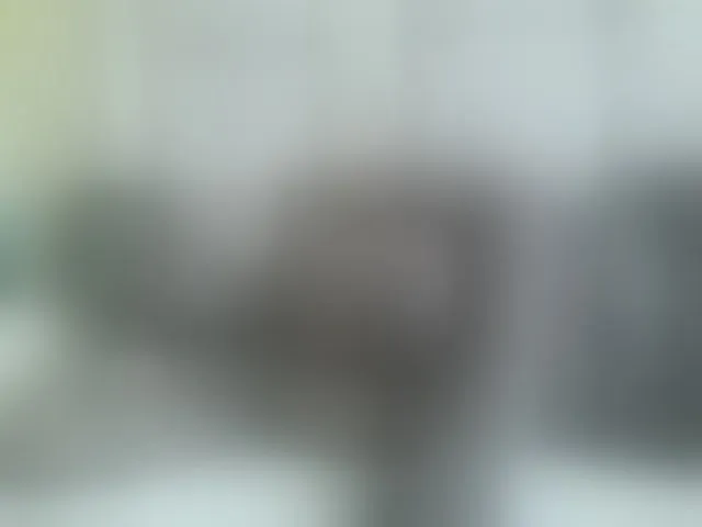 Live sex webcam photo for Beauty-Queen1 #293578330