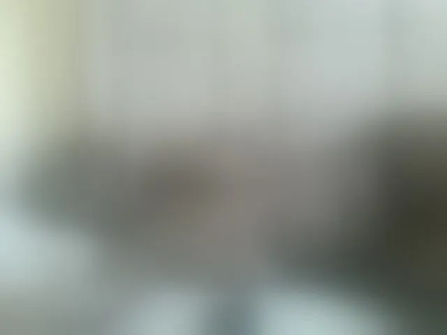 Live sex webcam photo for Beauty-Queen1 #293818250