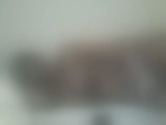 Live sex webcam photo for Beauty-Queen1 #293963022