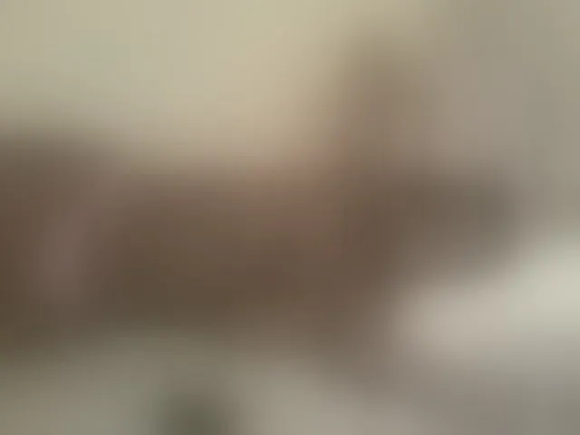 Live sex webcam photo for Beauty-Queen1 #293968564