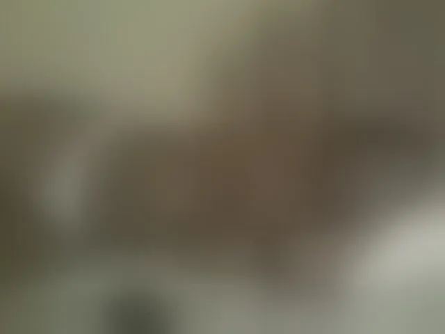 Live sex webcam photo for Beauty-Queen1 #293978999