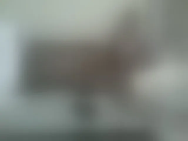 Live sex webcam photo for Beauty-Queen1 #294019772
