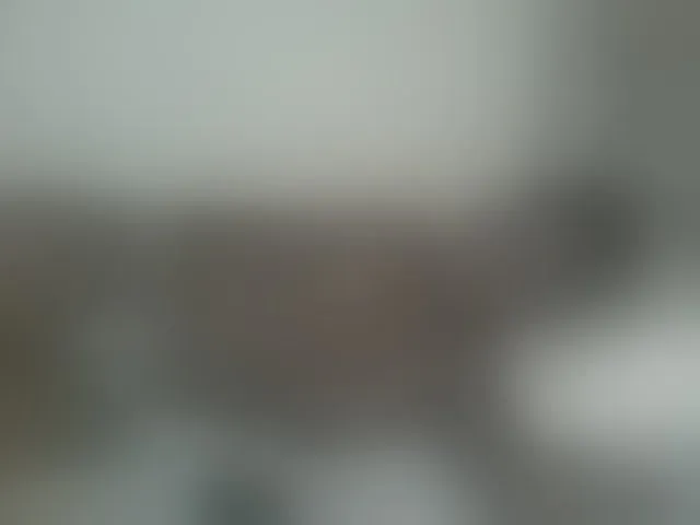 Live sex webcam photo for Beauty-Queen1 #294023963