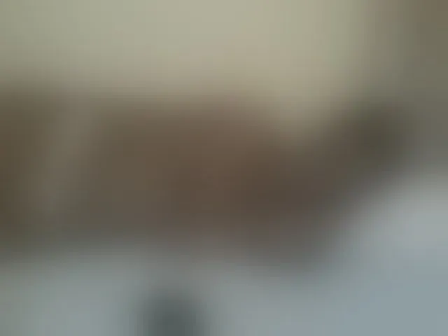 Live sex webcam photo for Beauty-Queen1 #294066341